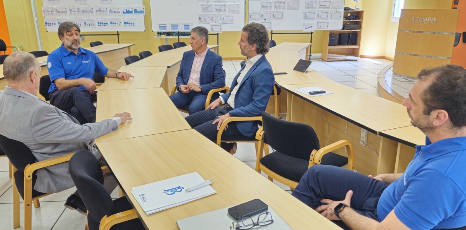 descripcion imagen 1